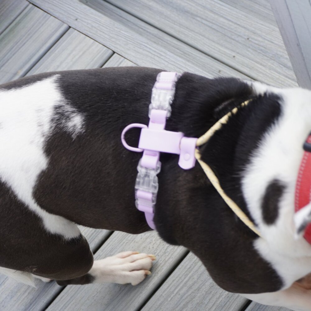 PVC Dog Harness Set | Waterproof No-Pull | Reflective Leash Included